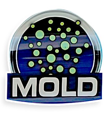 mold1